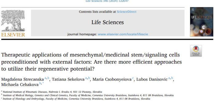 Terapeutické využitie mezenchymálnych kmeňových buniek prekondiciovaných pomocou externých faktorov